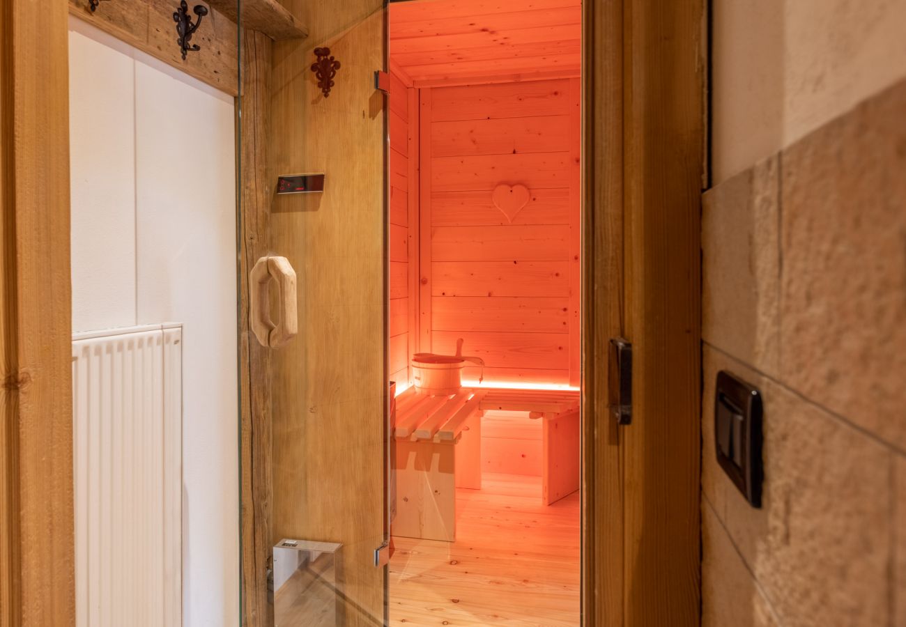 Apartment in Vodo Cadore - Ciandolada 6 Wellness