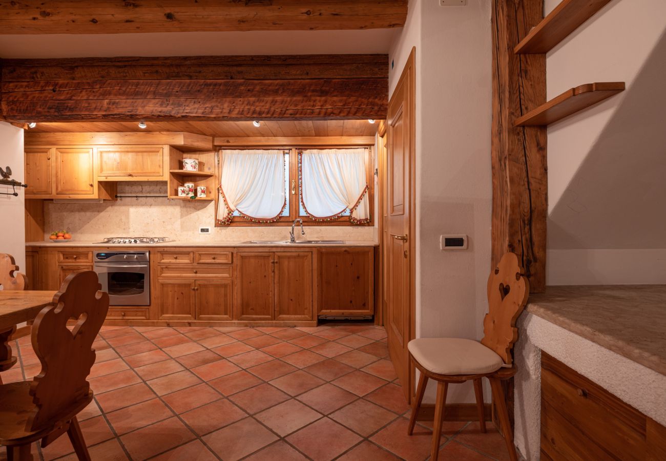 Apartment in San Vito di Cadore - Casa Belvedere 1  with Dolomites view