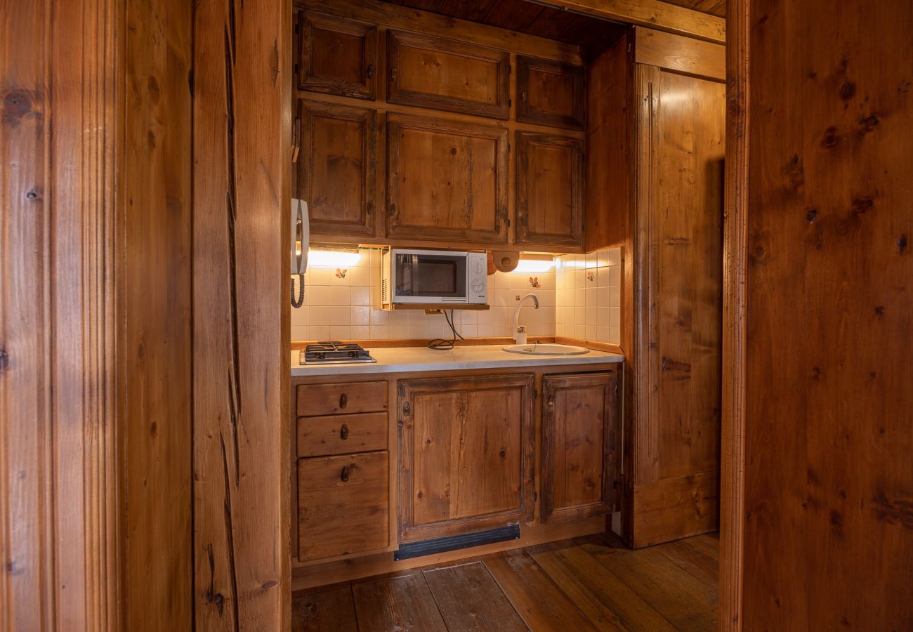 Apartment in San Vito di Cadore - Casa Regoiettes in S.Vito di Cadore