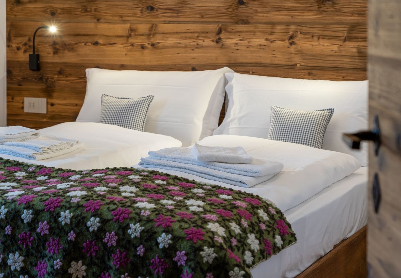 Apartment in Vodo Cadore - CHALET INES - Appartamento 4