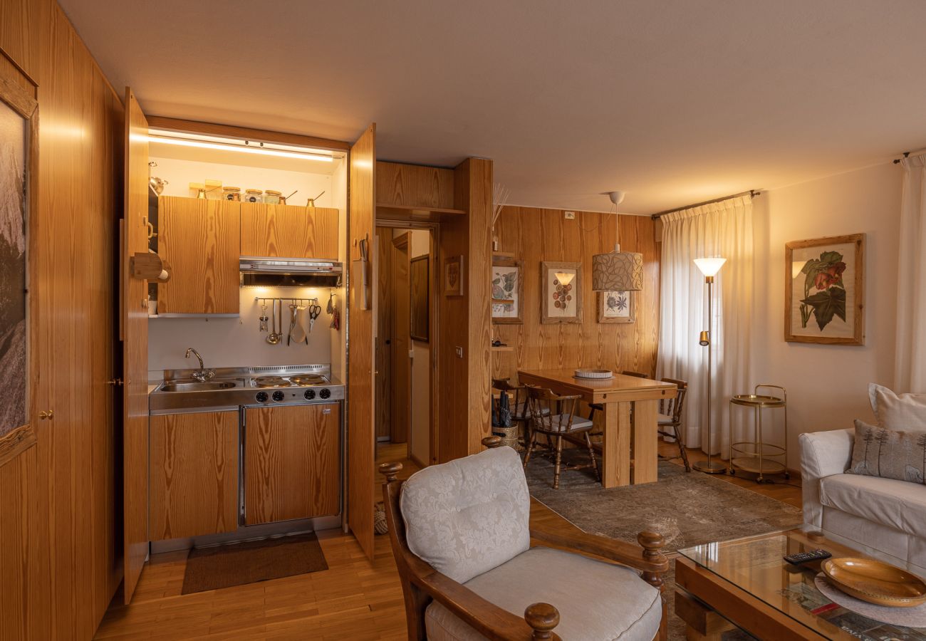 Studio in Cortina d´Ampezzo - SORAPIS MINI - Studio Apartment