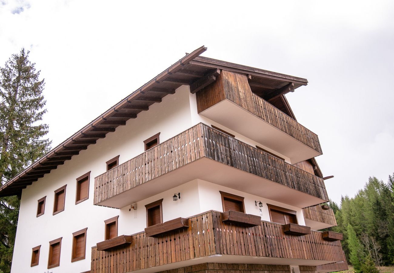 Apartment in Cortina d´Ampezzo - SORAPIS MINI - Studio Apartment