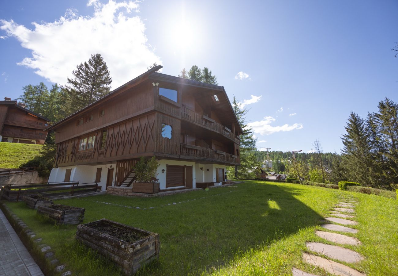 Apartment in Cortina d´Ampezzo - Casa Benedeta, comfortable and panoramic