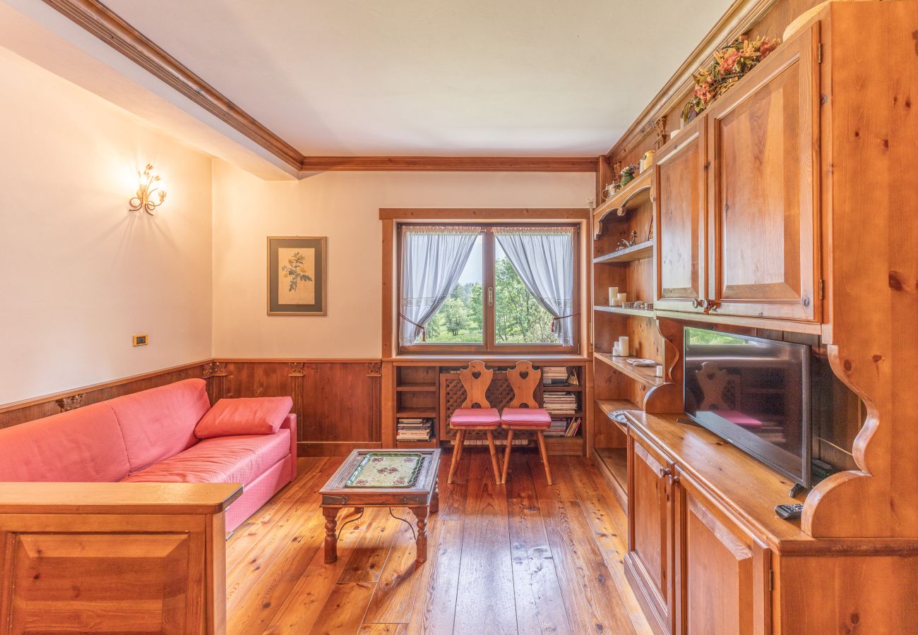 Apartment in Cortina d´Ampezzo - Casa Crignes,  close to the center of Cortina