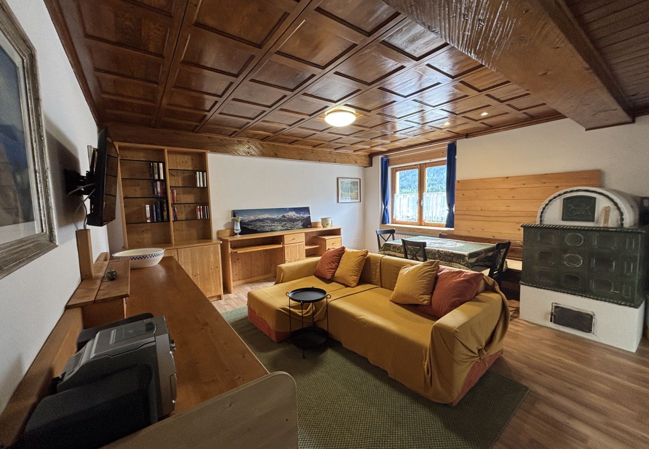 Apartment in Borca di Cadore - Casa Enrosadira