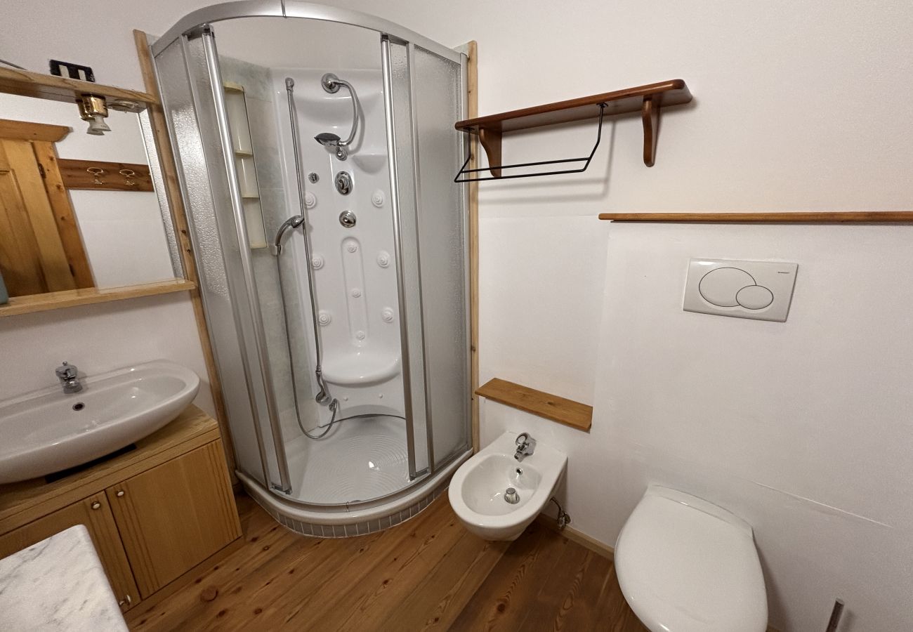 Apartment in Borca di Cadore - Casa Enrosadira