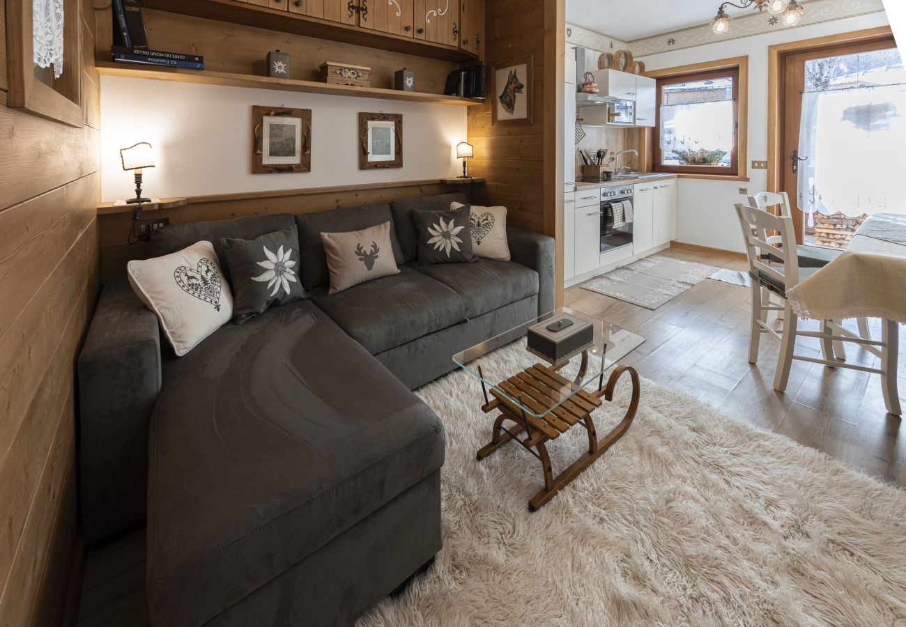 Apartment in Cortina d´Ampezzo - Casa Col 2, close to the ski slopes