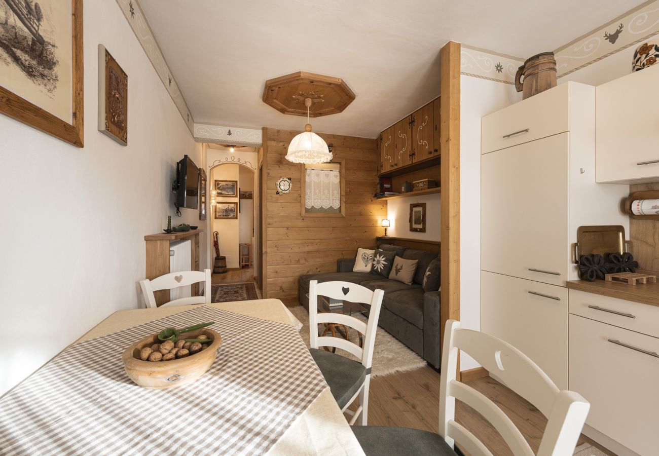 Apartment in Cortina d´Ampezzo - Casa Col 2, close to the ski slopes