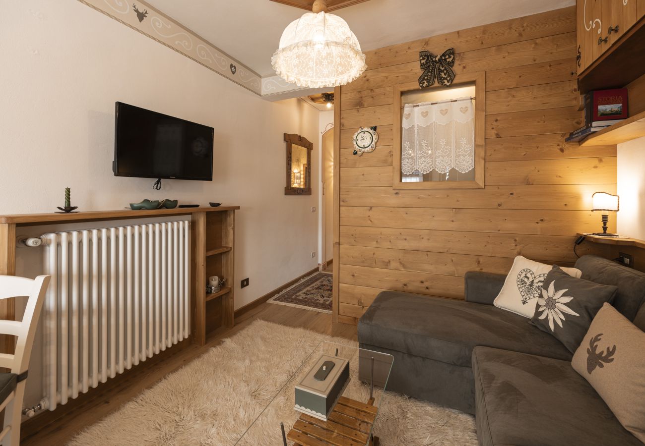 Apartment in Cortina d´Ampezzo - Casa Col 2, close to the ski slopes