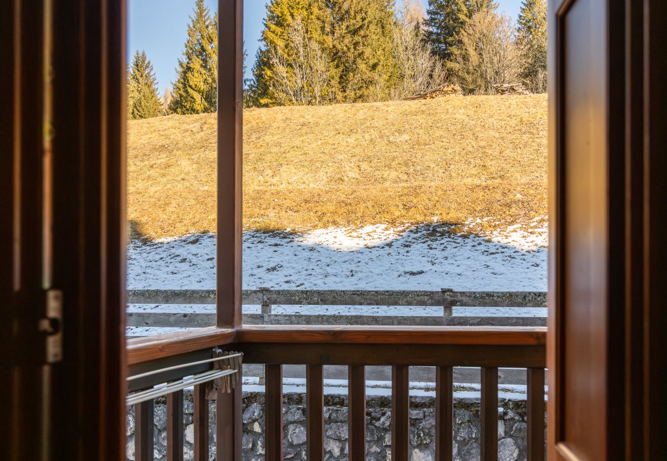 Apartment in Borca di Cadore - Casa Tre Corone, on the road to Cortina d Ampezzo