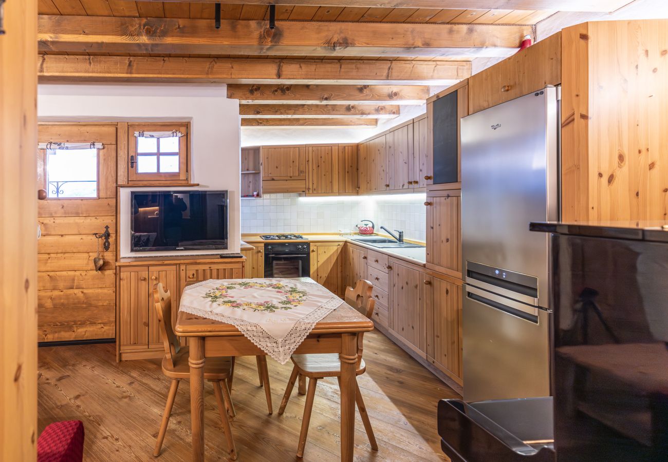 Apartment in Cortina d´Ampezzo - Casa Noce, quiet and surrounded by nature